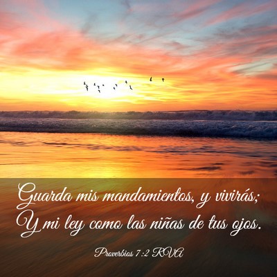 Picture 03 - Proverbios 7:2 RVA - Guarda mis mandamientos, y vivirás; Y mi ley - Bible Verse Picture