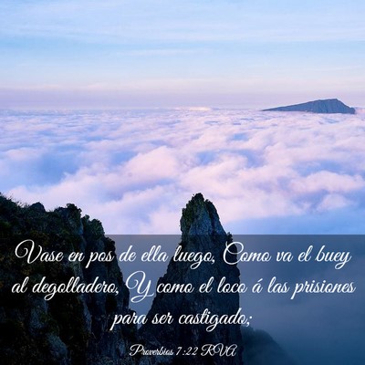 Picture 03 - Proverbios 7:22 RVA - Vase en pos de ella luego, Como va el buey al - Bible Verse Picture