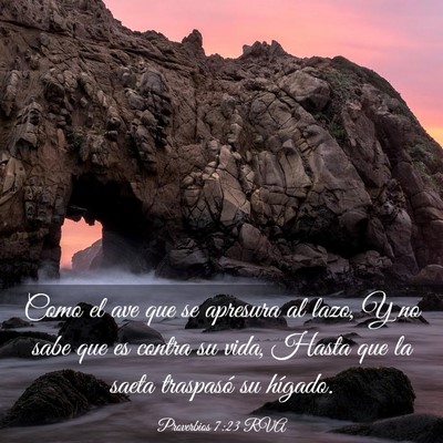 Picture 03 - Proverbios 7:23 RVA - Como el ave que se apresura al lazo, Y no sabe - Bible Verse Picture