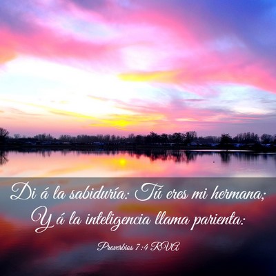Picture 03 - Proverbios 7:4 RVA - Di á la sabiduría: Tú eres mi hermana; Y á la - Bible Verse Picture