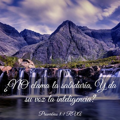 Picture 03 - Proverbios 8:1 RVA - ¿NO clama la sabiduría, Y da su voz la - Bible Verse Picture
