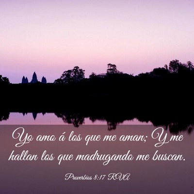 Picture 03 - Proverbios 8:17 RVA - Yo amo á los que me aman; Y me hallan los que - Bible Verse Picture
