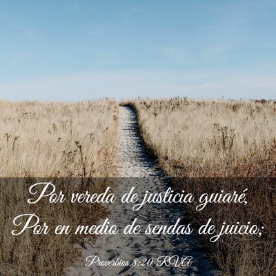 Picture 03 - Proverbios 8:20 RVA - Por vereda de justicia guiaré, Por en medio de - Bible Verse Picture