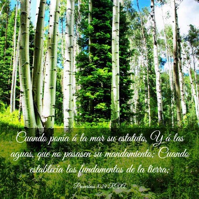 Picture 03 - Proverbios 8:29 RVA - Cuando ponía á la mar su estatuto, Y á las - Bible Verse Picture