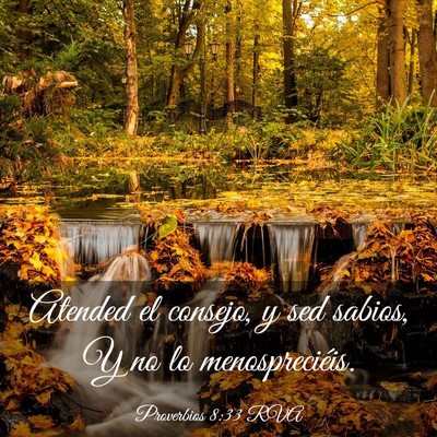 Picture 03 - Proverbios 8:33 RVA - Atended el consejo, y sed sabios, Y no lo - Bible Verse Picture