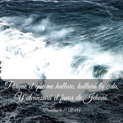 Picture 03 - Proverbios 8:35 RVA - Porque el que me hallare, hallará la vida, Y - Bible Verse Picture