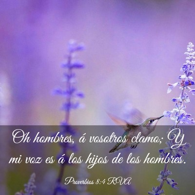 Picture 03 - Proverbios 8:4 RVA - Oh hombres, á vosotros clamo; Y mi voz es á los - Bible Verse Picture