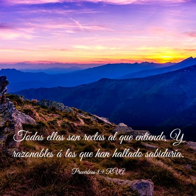 Picture 03 - Proverbios 8:9 RVA - Todas ellas son rectas al que entiende, Y - Bible Verse Picture