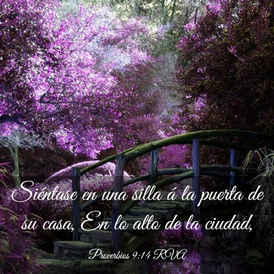 Picture 03 - Proverbios 9:14 RVA - Siéntase en una silla á la puerta de su casa, - Bible Verse Picture