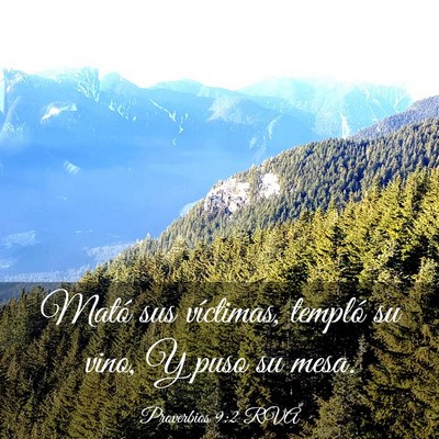 Picture 03 - Proverbios 9:2 RVA - Mató sus víctimas, templó su vino, Y puso su - Bible Verse Picture