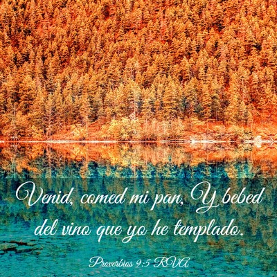 Picture 03 - Proverbios 9:5 RVA - Venid, comed mi pan, Y bebed del vino que yo he - Bible Verse Picture