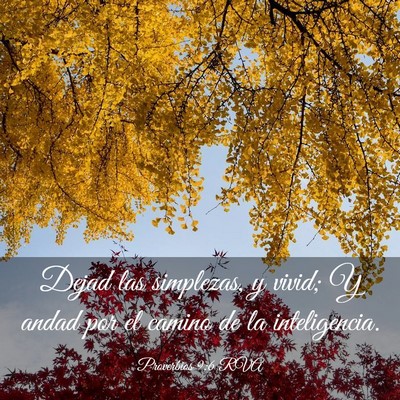 Picture 03 - Proverbios 9:6 RVA - Dejad las simplezas, y vivid; Y andad por el - Bible Verse Picture