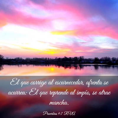 Picture 03 - Proverbios 9:7 RVA - El que corrige al escarnecedor, afrenta se - Bible Verse Picture
