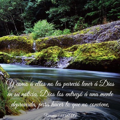 Picture 03 - Romanos 1:28 RVA - Y como á ellos no les pareció tener á Dios en - Bible Verse Picture