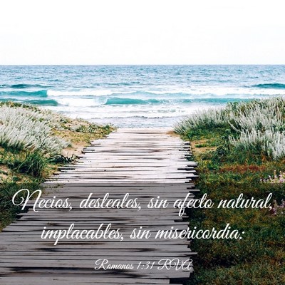 Picture 03 - Romanos 1:31 RVA - Necios, desleales, sin afecto natural, - Bible Verse Picture