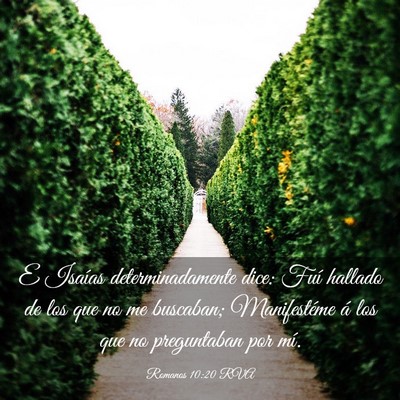 Picture 03 - Romanos 10:20 RVA - E Isaías determinadamente dice: Fuí hallado de - Bible Verse Picture