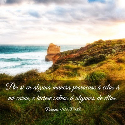 Picture 03 - Romanos 11:14 RVA - Por si en alguna manera provocase á celos á mi - Bible Verse Picture