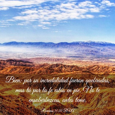Picture 03 - Romanos 11:20 RVA - Bien: por su incredulidad fueron quebradas, mas - Bible Verse Picture