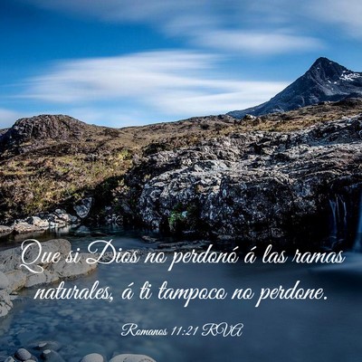 Picture 03 - Romanos 11:21 RVA - Que si Dios no perdonó á las ramas naturales, - Bible Verse Picture