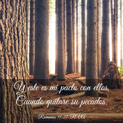 Picture 03 - Romanos 11:27 RVA - Y este es mi pacto con ellos, Cuando quitare su - Bible Verse Picture
