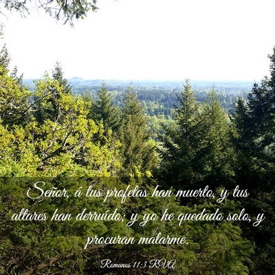 Picture 03 - Romanos 11:3 RVA - Señor, á tus profetas han muerto, y tus altares - Bible Verse Picture