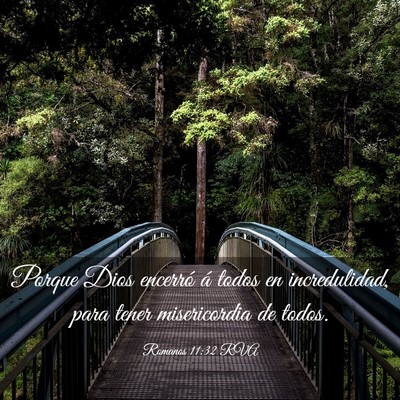 Picture 03 - Romanos 11:32 RVA - Porque Dios encerró á todos en incredulidad, - Bible Verse Picture