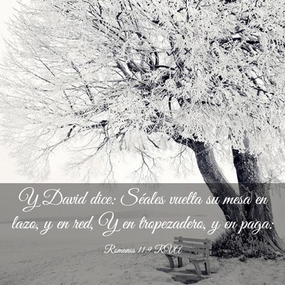 Picture 03 - Romanos 11:9 RVA - Y David dice: Séales vuelta su mesa en lazo, y - Bible Verse Picture