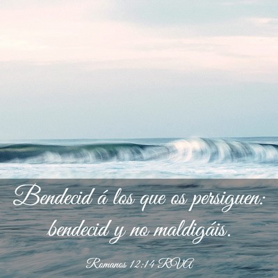 Picture 03 - Romanos 12:14 RVA - Bendecid á los que os persiguen: bendecid y no - Bible Verse Picture