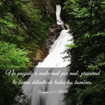 Picture 03 - Romanos 12:17 RVA - No paguéis á nadie mal por mal; procurad lo - Bible Verse Picture