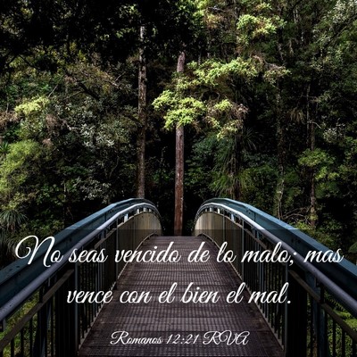 Picture 03 - Romanos 12:21 RVA - No seas vencido de lo malo; mas vence con el bien - Bible Verse Picture