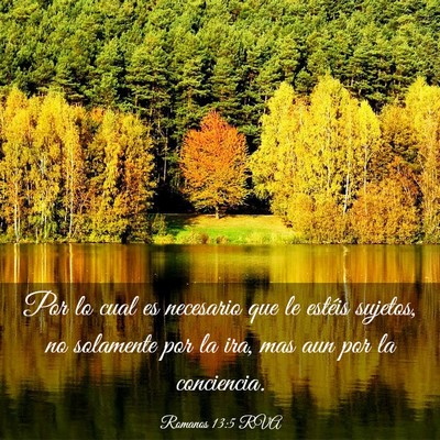 Picture 03 - Romanos 13:5 RVA - Por lo cual es necesario que le estéis sujetos, - Bible Verse Picture