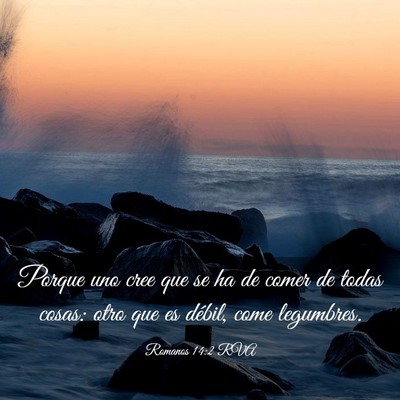 Picture 03 - Romanos 14:2 RVA - Porque uno cree que se ha de comer de todas - Bible Verse Picture