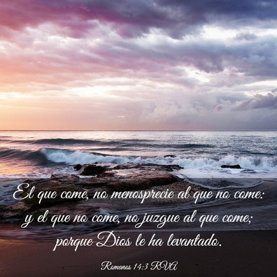 Picture 03 - Romanos 14:3 RVA - El que come, no menosprecie al que no come: y el - Bible Verse Picture
