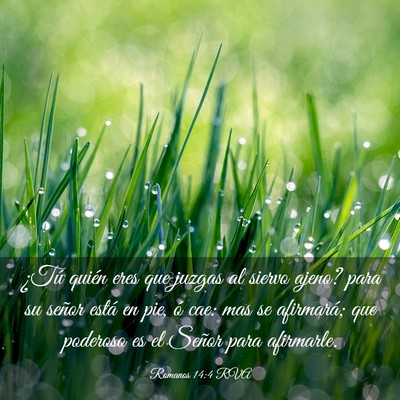 Picture 03 - Romanos 14:4 RVA - ¿Tú quién eres que juzgas al siervo ajeno? - Bible Verse Picture