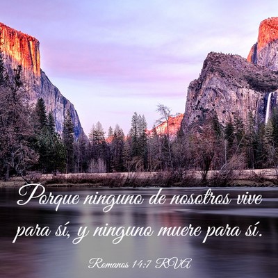 Picture 03 - Romanos 14:7 RVA - Porque ninguno de nosotros vive para sí, y - Bible Verse Picture