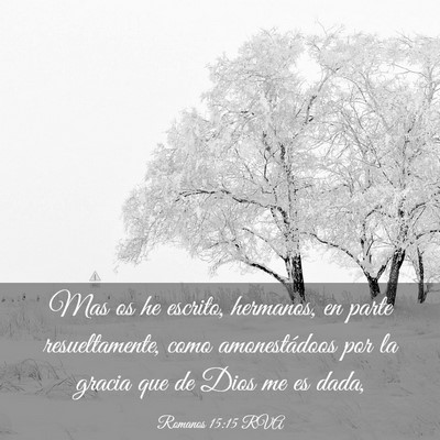 Picture 03 - Romanos 15:15 RVA - Mas os he escrito, hermanos, en parte - Bible Verse Picture