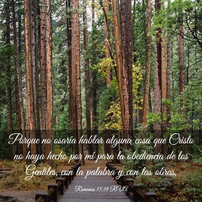 Picture 03 - Romanos 15:18 RVA - Porque no osaría hablar alguna cosa que Cristo - Bible Verse Picture