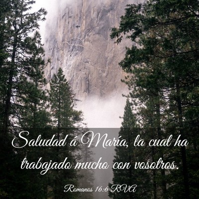 Picture 03 - Romanos 16:6 RVA - Saludad á María, la cual ha trabajado mucho con - Bible Verse Picture