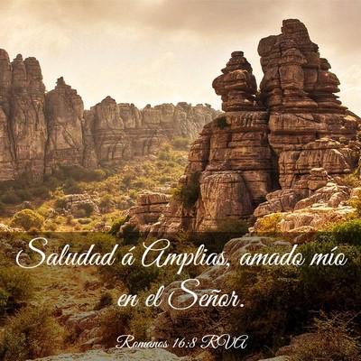 Picture 03 - Romanos 16:8 RVA - Saludad á Amplias, amado mío en el - Bible Verse Picture