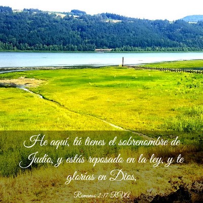 Picture 03 - Romanos 2:17 RVA - He aquí, tú tienes el sobrenombre de Judío, y - Bible Verse Picture
