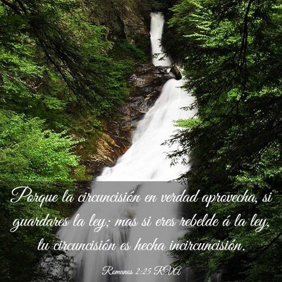 Picture 03 - Romanos 2:25 RVA - Porque la circuncisión en verdad aprovecha, si - Bible Verse Picture