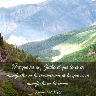 Picture 03 - Romanos 2:28 RVA - Porque no es Judío el que lo es en manifiesto; - Bible Verse Picture