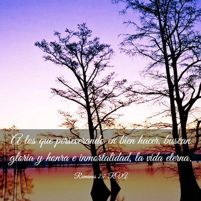 Picture 03 - Romanos 2:7 RVA - A los que perseverando en bien hacer, buscan - Bible Verse Picture