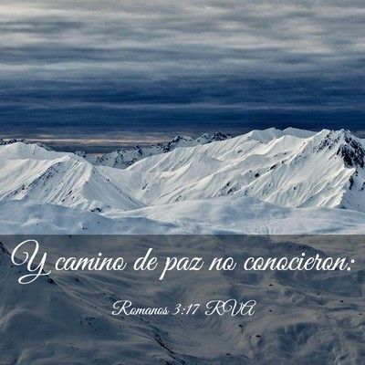 Picture 03 - Romanos 3:17 RVA - Y camino de paz no - Bible Verse Picture