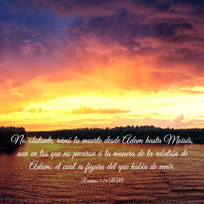 Picture 03 - Romanos 5:14 RVA - No obstante, reinó la muerte desde Adam hasta - Bible Verse Picture