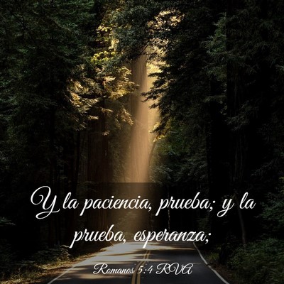 Picture 03 - Romanos 5:4 RVA - Y la paciencia, prueba; y la prueba, - Bible Verse Picture