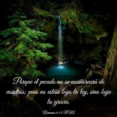 Picture 03 - Romanos 6:14 RVA - Porque el pecado no se enseñoreará de vosotros; - Bible Verse Picture