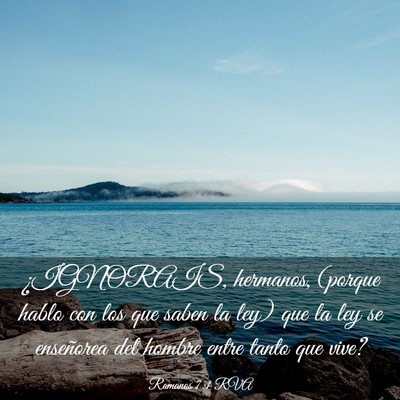 Picture 03 - Romanos 7:1 RVA - ¿IGNORAIS, hermanos, (porque hablo con los que - Bible Verse Picture