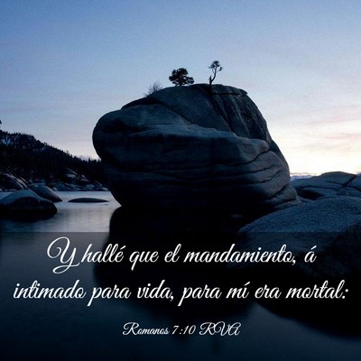 Picture 03 - Romanos 7:10 RVA - Y hallé que el mandamiento, á intimado para - Bible Verse Picture
