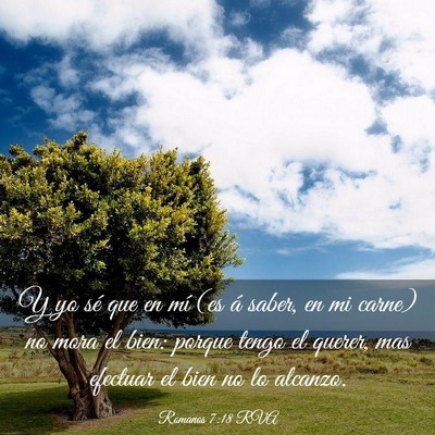 Picture 03 - Romanos 7:18 RVA - Y yo sé que en mí (es á saber, en mi carne) no - Bible Verse Picture
